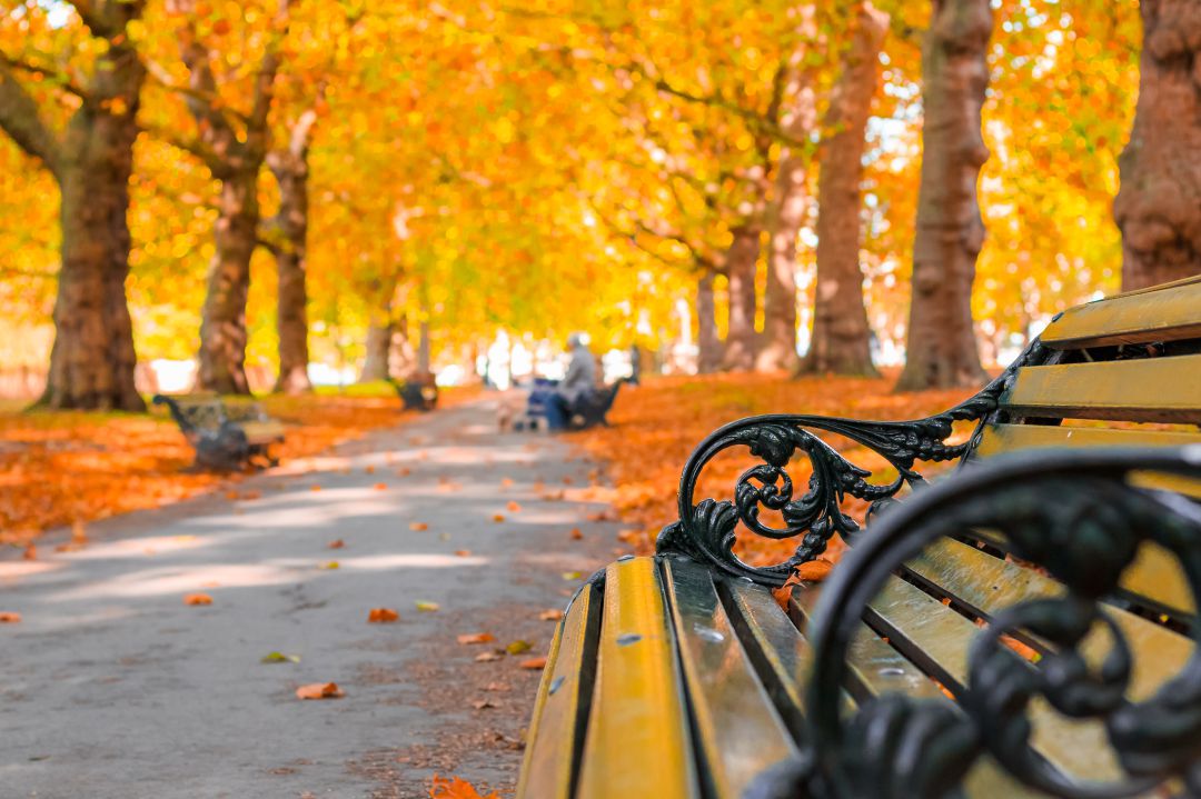 Guarda tus cosas de verano ahora que ha llegado el otoño 1